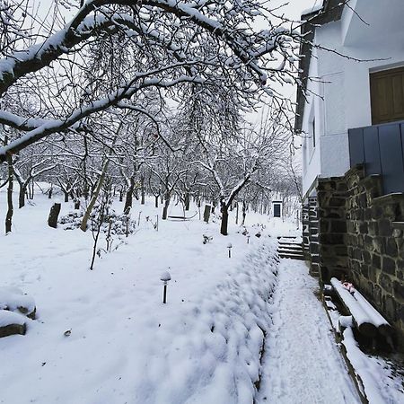 Almas Tanya Vendeghaz Villa Szuha Eksteriør billede